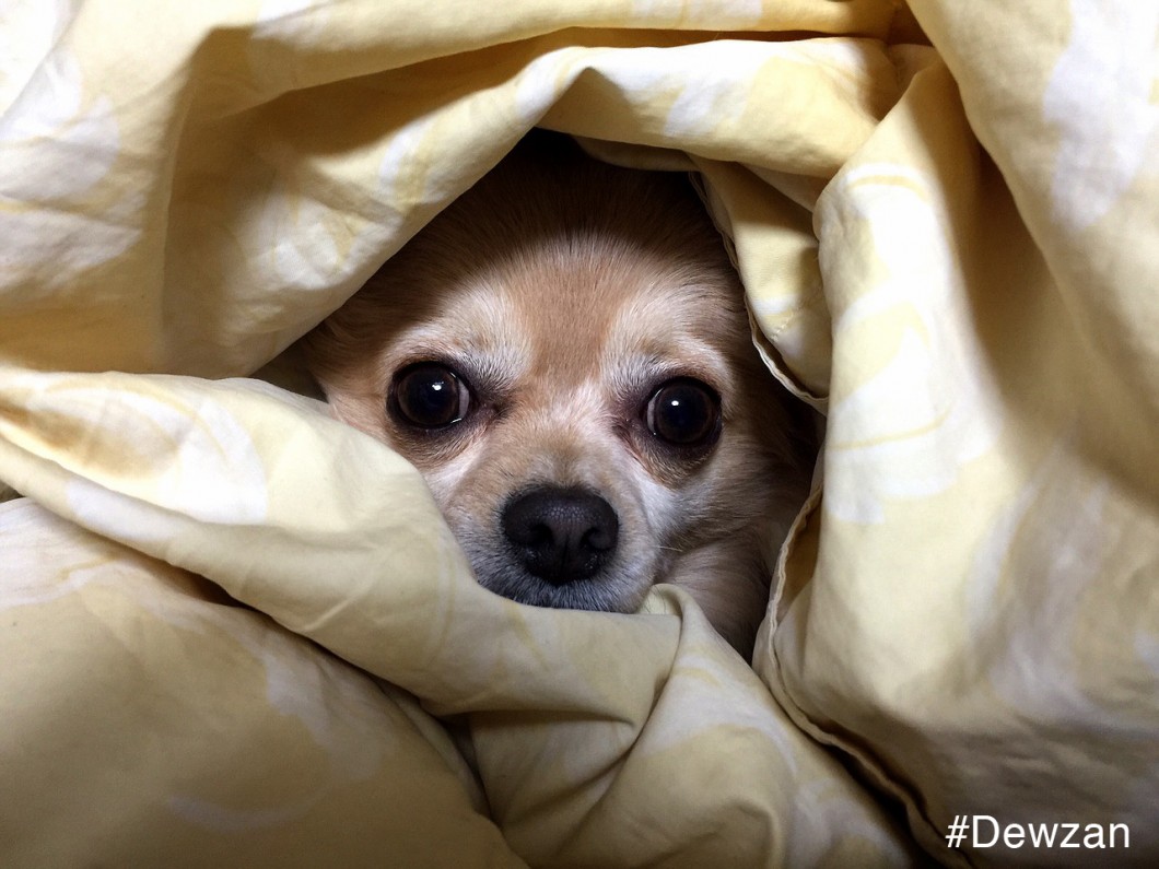 筋肉,筋トレ,ダンサー,メンズ