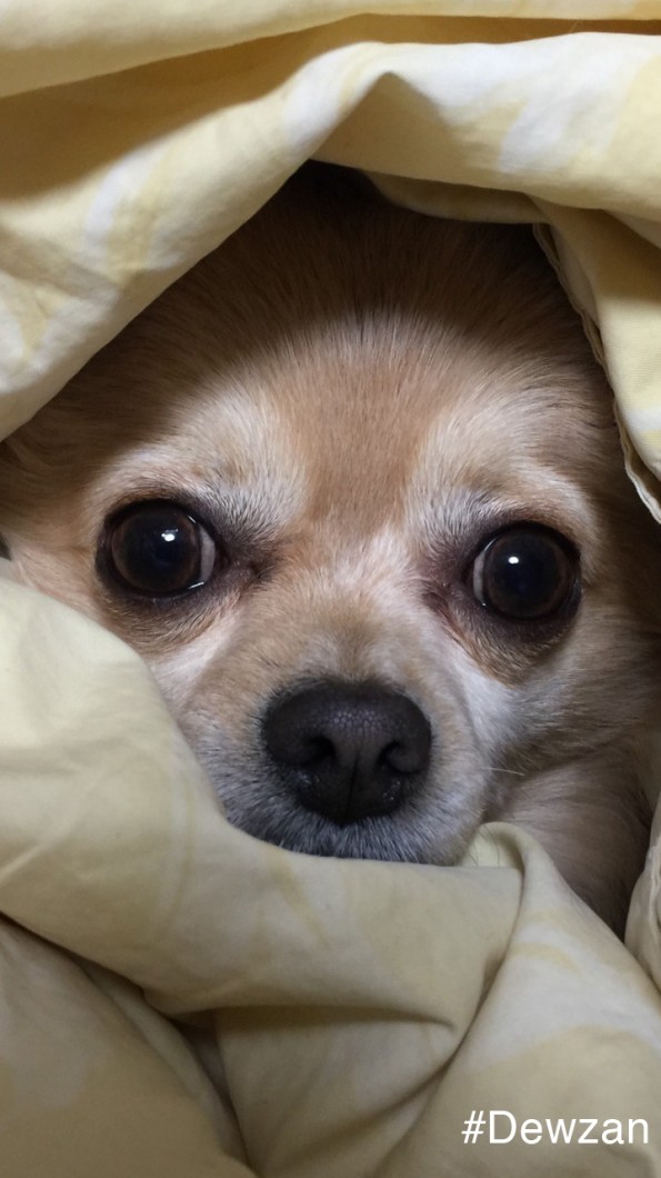 筋肉,筋トレ,ダンサー,メンズ