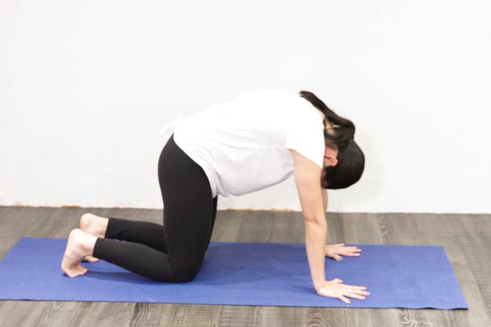 キャット&カウ(猫と牛)のポーズ