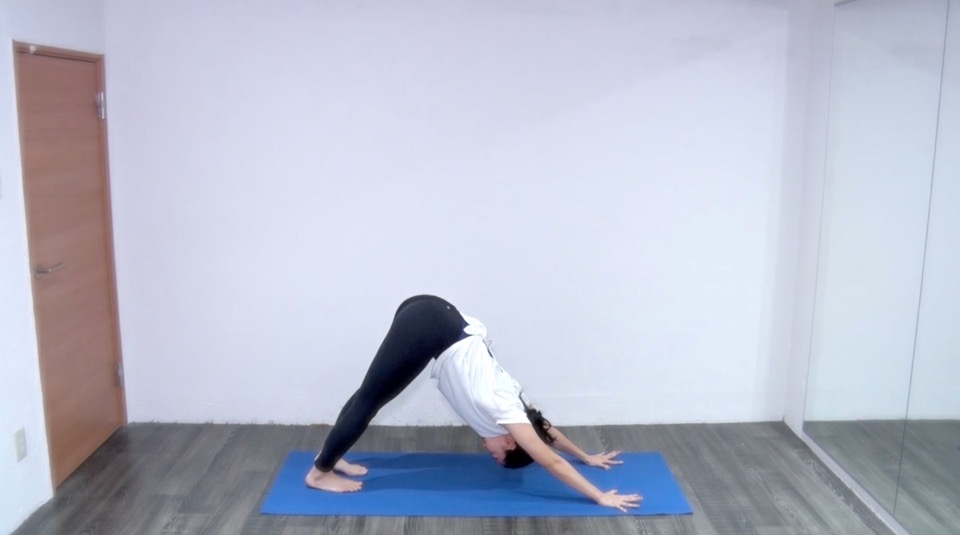 下を向いた犬のポーズ