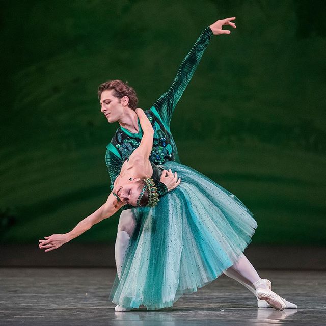 社交ダンスの代表的なジャンル2種類を紹介！特徴ややり方を動画で解説